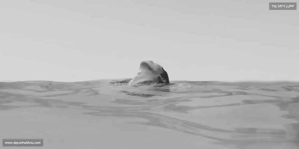 米兰官网🌟体育不止是运动，更是热爱生活的态度！